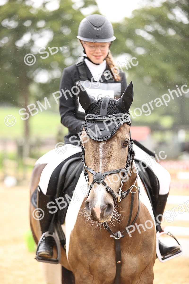 SBM_70079 - Supreme Championship 80cm 85cm