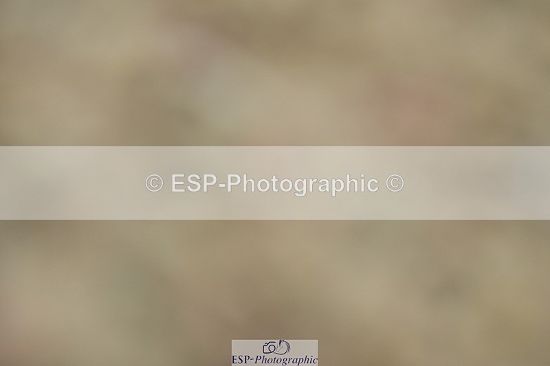 230630A-103112-00109 - Cls 6 Music Novice