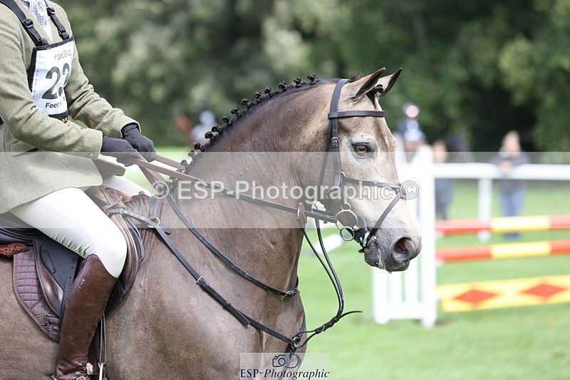 230805-144651-04063 - SJ 13 to End