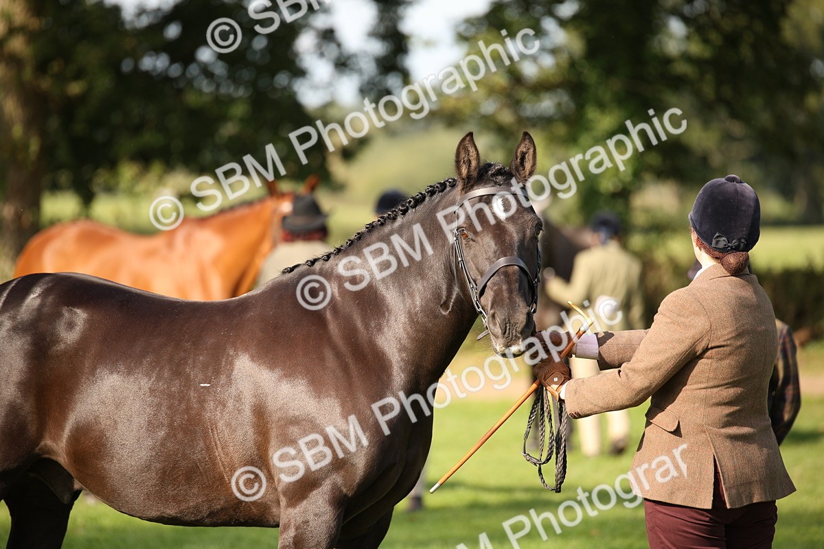 SBM_60107 - S53 - Hunter In Hand