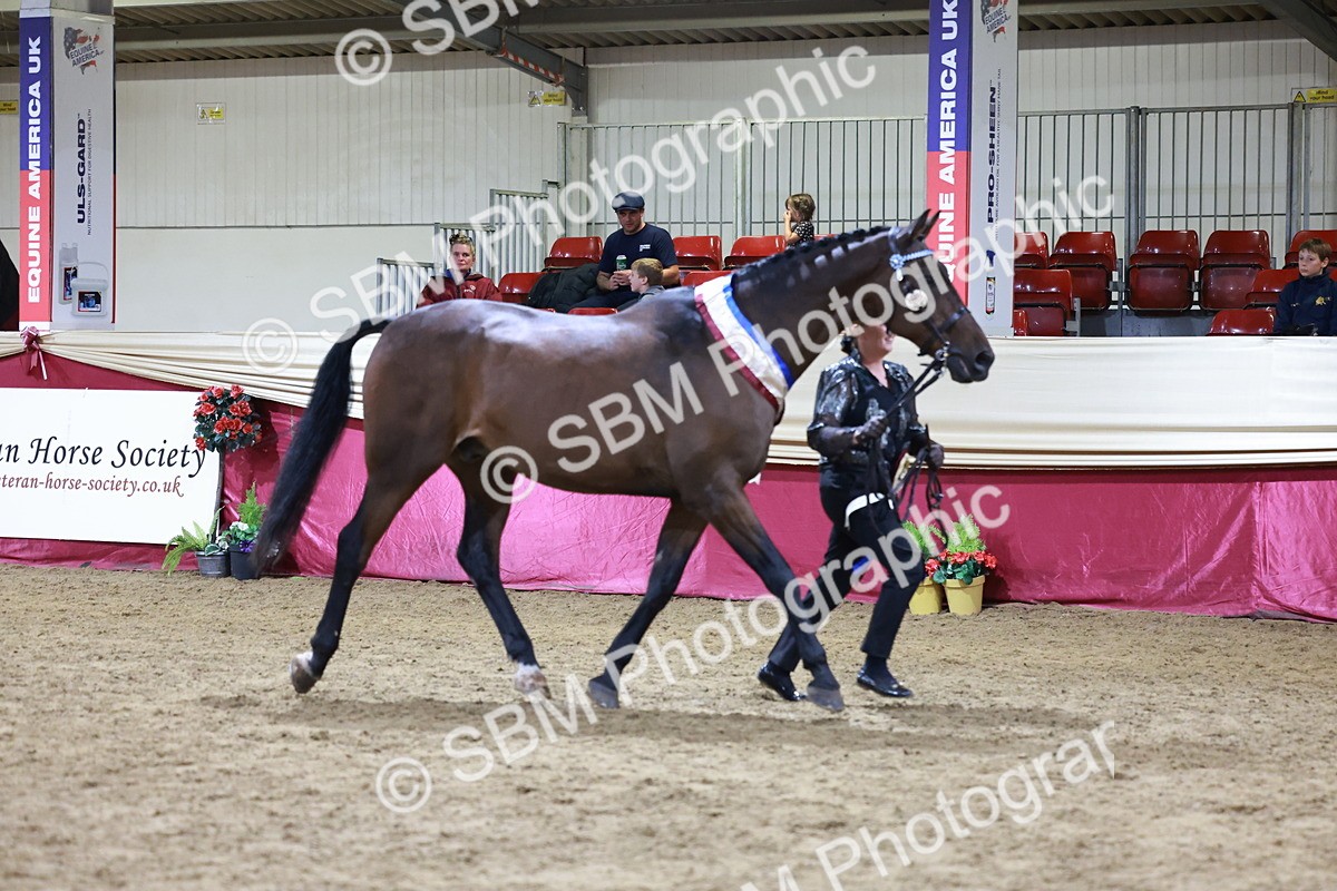 SBM_20650 - Class I - Ridden Pony Champ