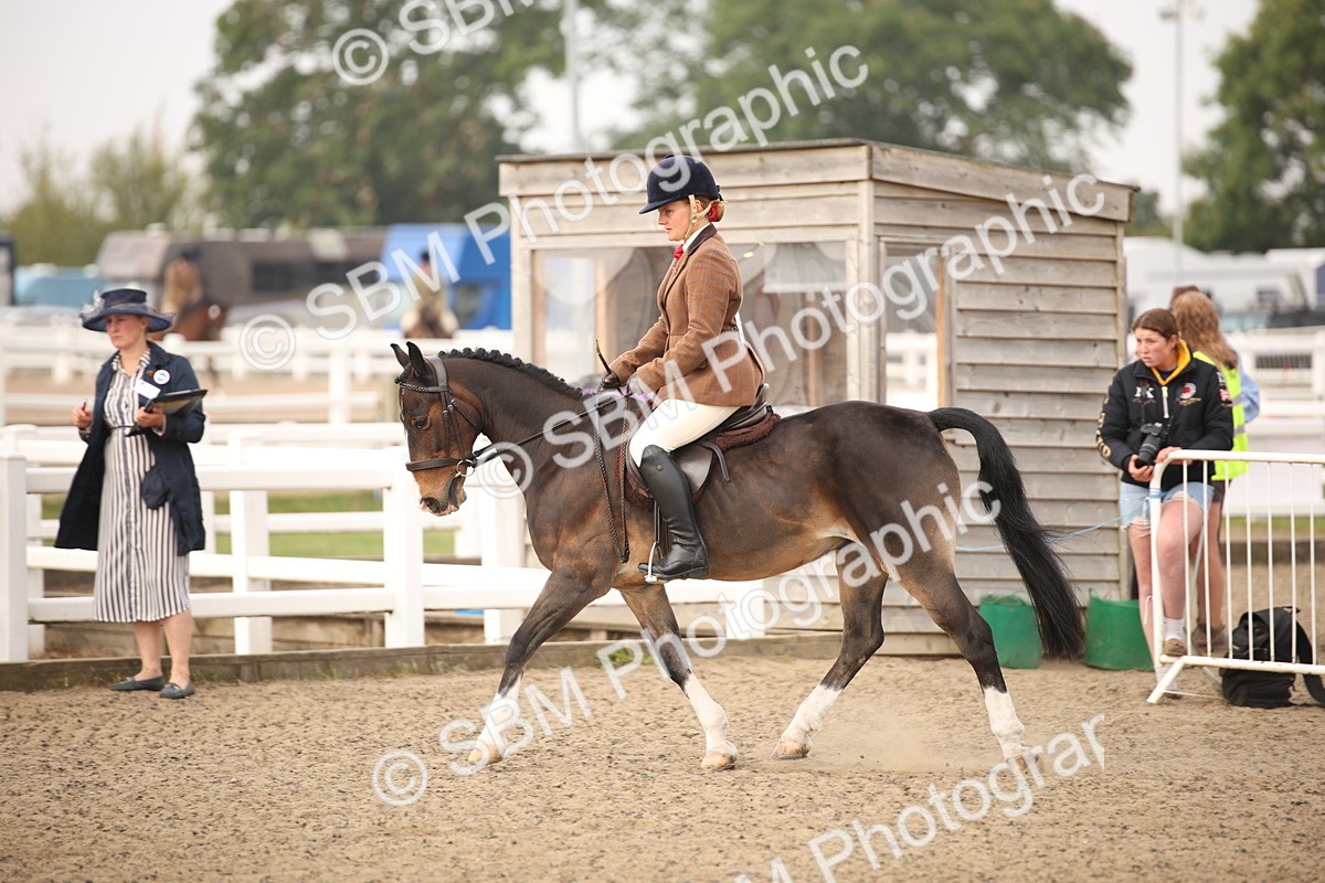 SBM_09794 - Class 401 Riding Club Pony