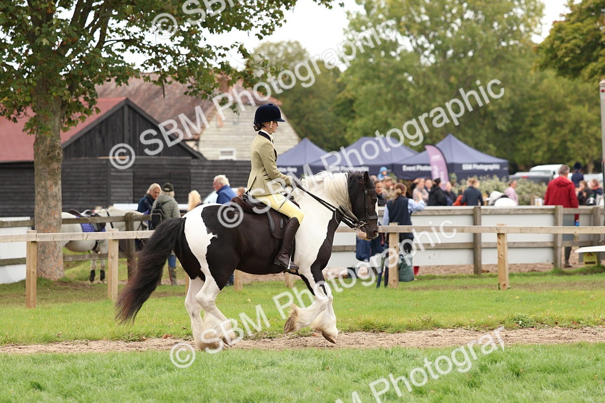 SBM_64502 - S58 - Coloured Pony Ridden