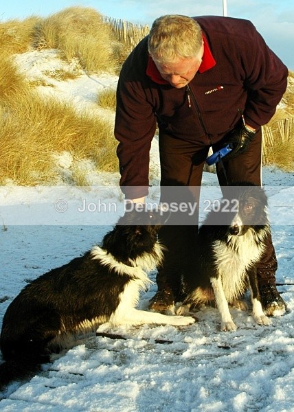 Hard Work Posing - Walking the Dog