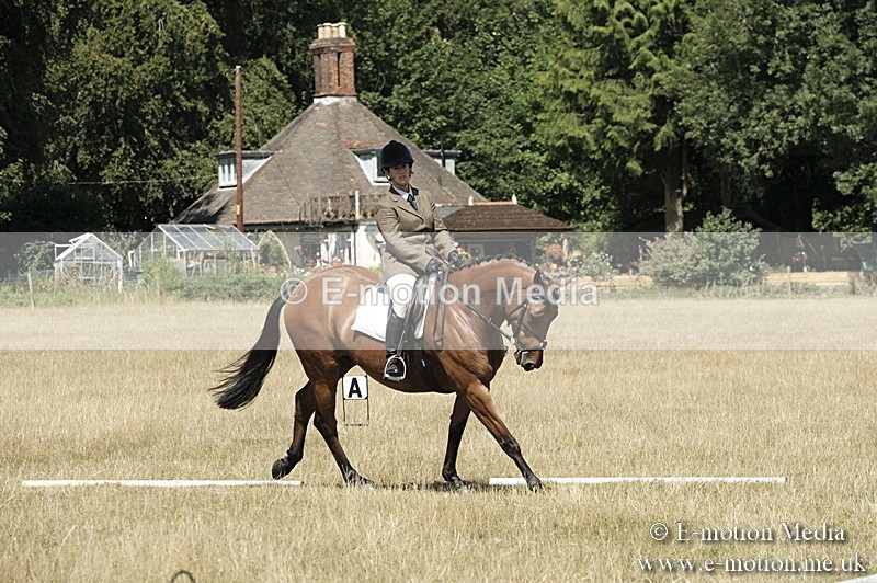 _PJP5850 - Dressage Classes BVRC Show 2018