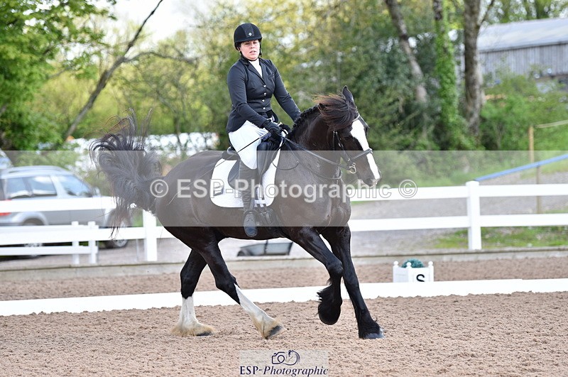 230511A-100702-00203 - BD Cls 2 Prelim 17A