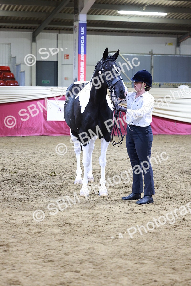 SBM_20843 - Class L - Coloured Champ