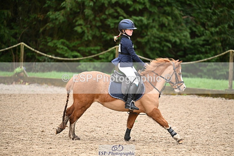 260222A-105426-00525 - 40cm Unassisted