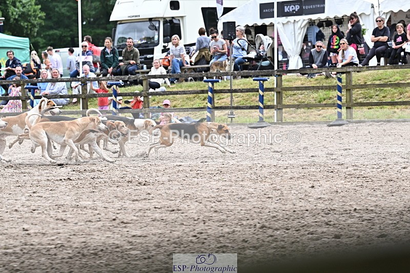 250524A-152316-12712 - East Devon Hounds
