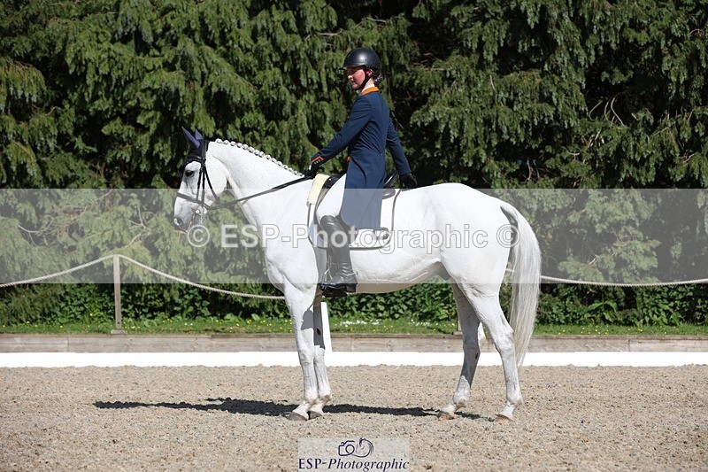 230526-163419-07845 - 172-VELOUMANI_TESS_LY-Aliene_Ruyter-WEDTrotUp+DR