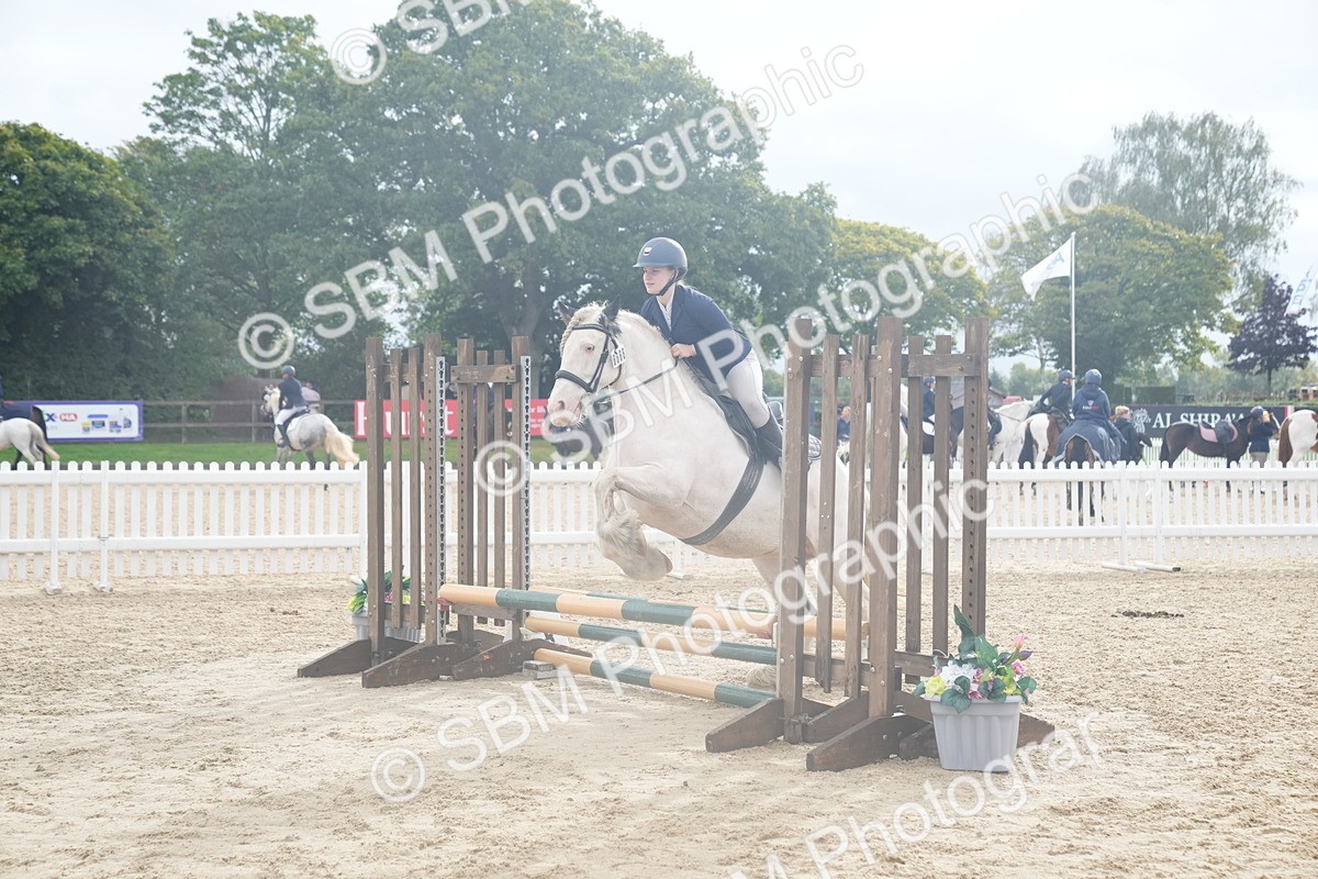 SBM_01874 - J54 - Clear Round 50cm