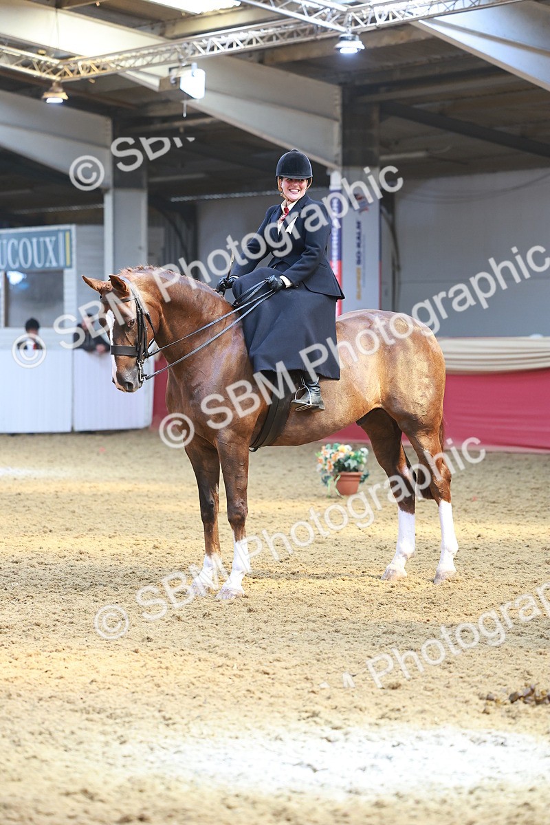 SBM_12749 - HOYS Veteran Qualifier - Ridden Champ