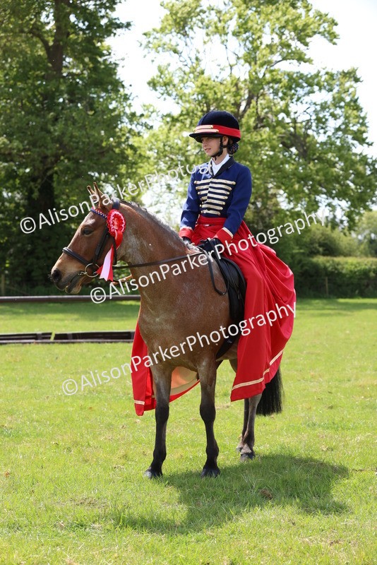 20250427-3849 - Class 22 - Concour's D'Elegance