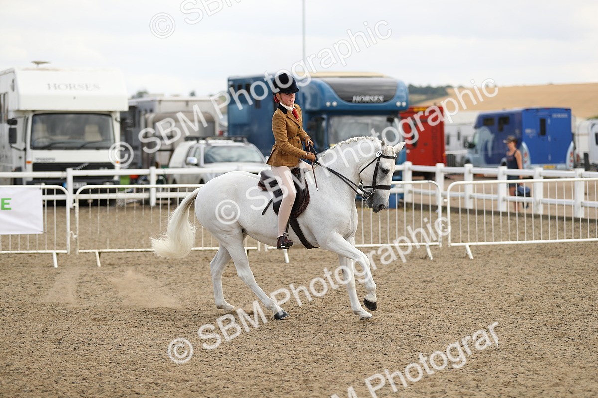 SBM_05641 - Class 48a Style & Performance 70cm (15-19)