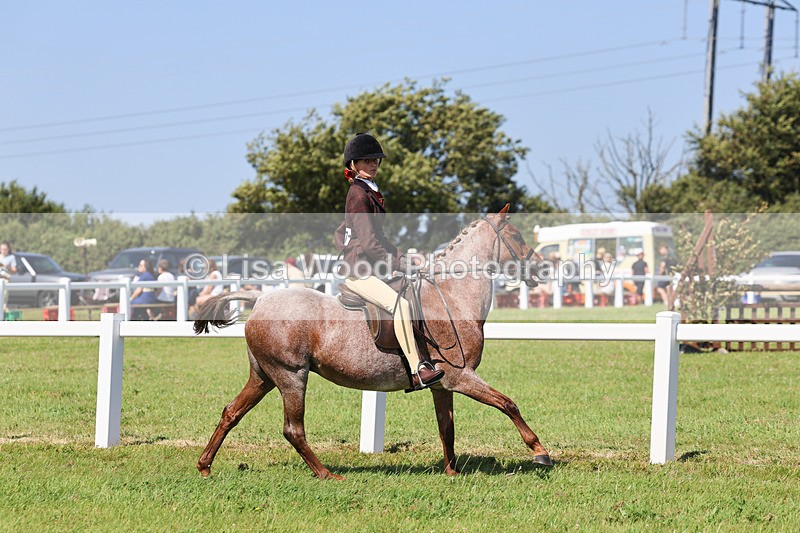 IMG_1998 - Class 34: Show Hunter Pony 153cm and under