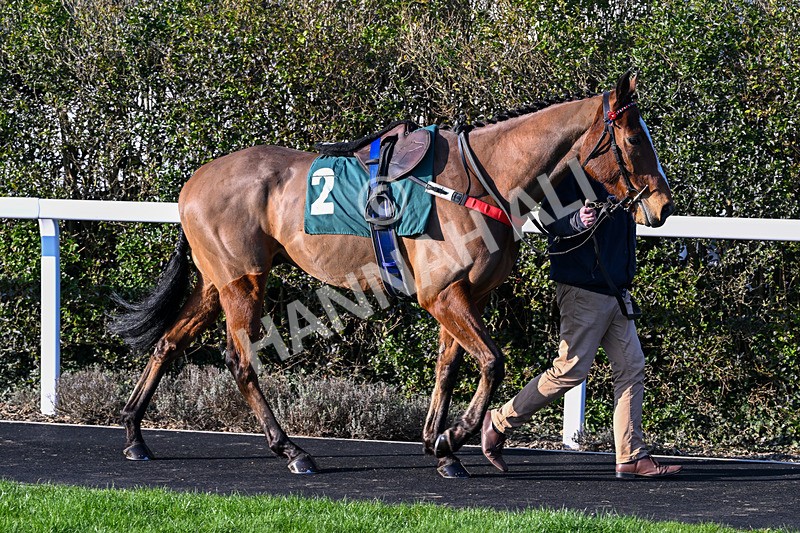 040326-Race 4-Cold Henry-9548 - Race 4