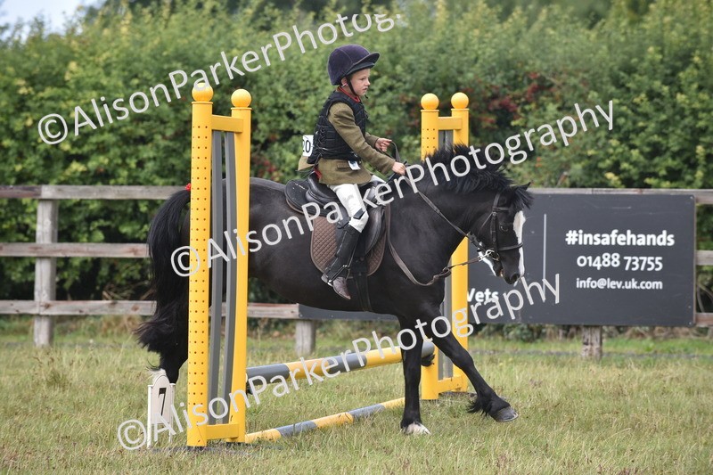 20250831-1865 - Class 9 - Absolute Novice 45cm