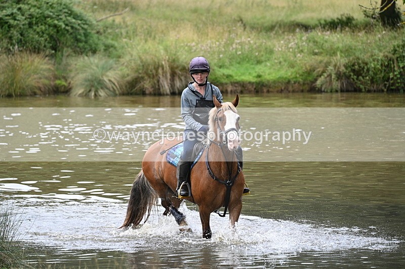 WJ7_0813 - Time at Water 09:19 to 10:04