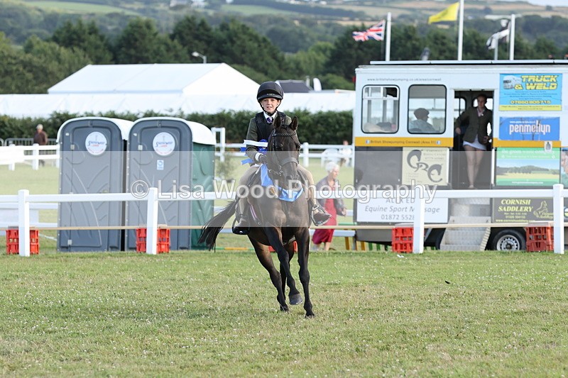 JPP_3792 - Working Hunter Championship