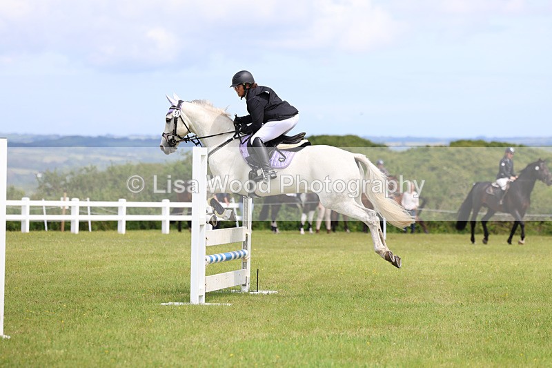 3E7A7444 - Class 13: Senior British Novice/90cm open