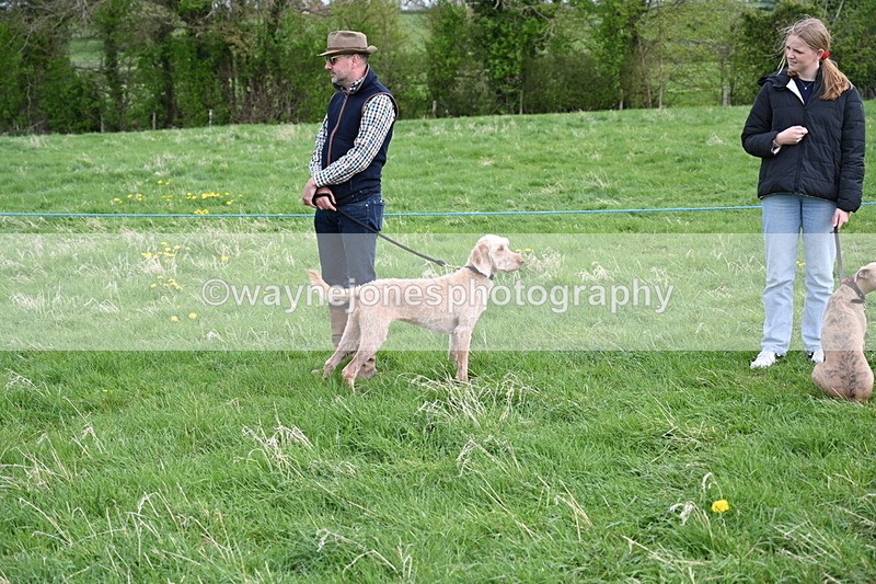 WJ6_8045 - Class 2 Best Pedigree