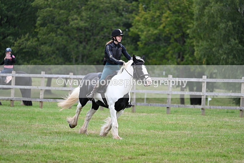 WJ7_7779 - 40cm Time 10:49 to 11:18