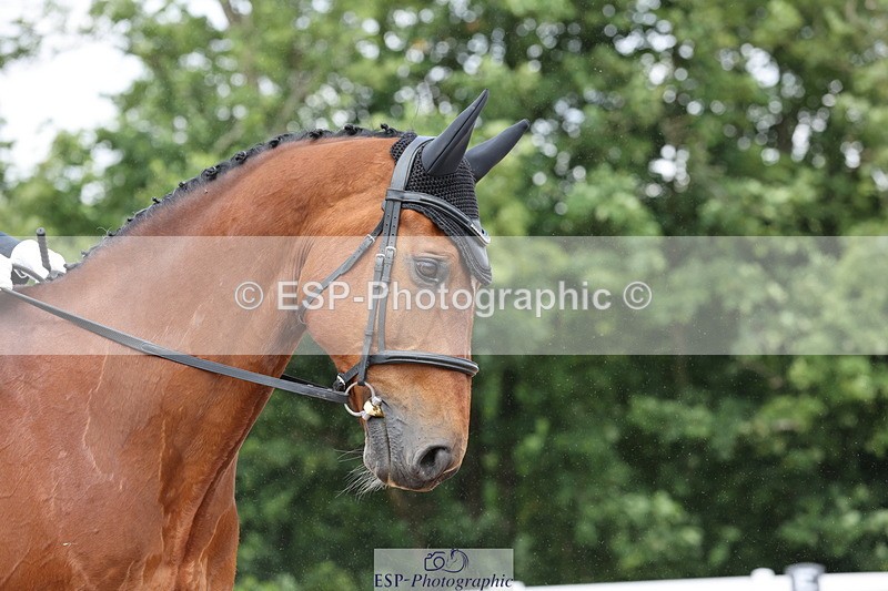 240621A-122816-00744 - Cls 12 BD Music Medium