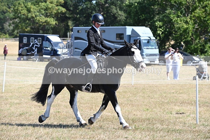 WJ6_8205 - Class 37a Best Loan Pony Ridden