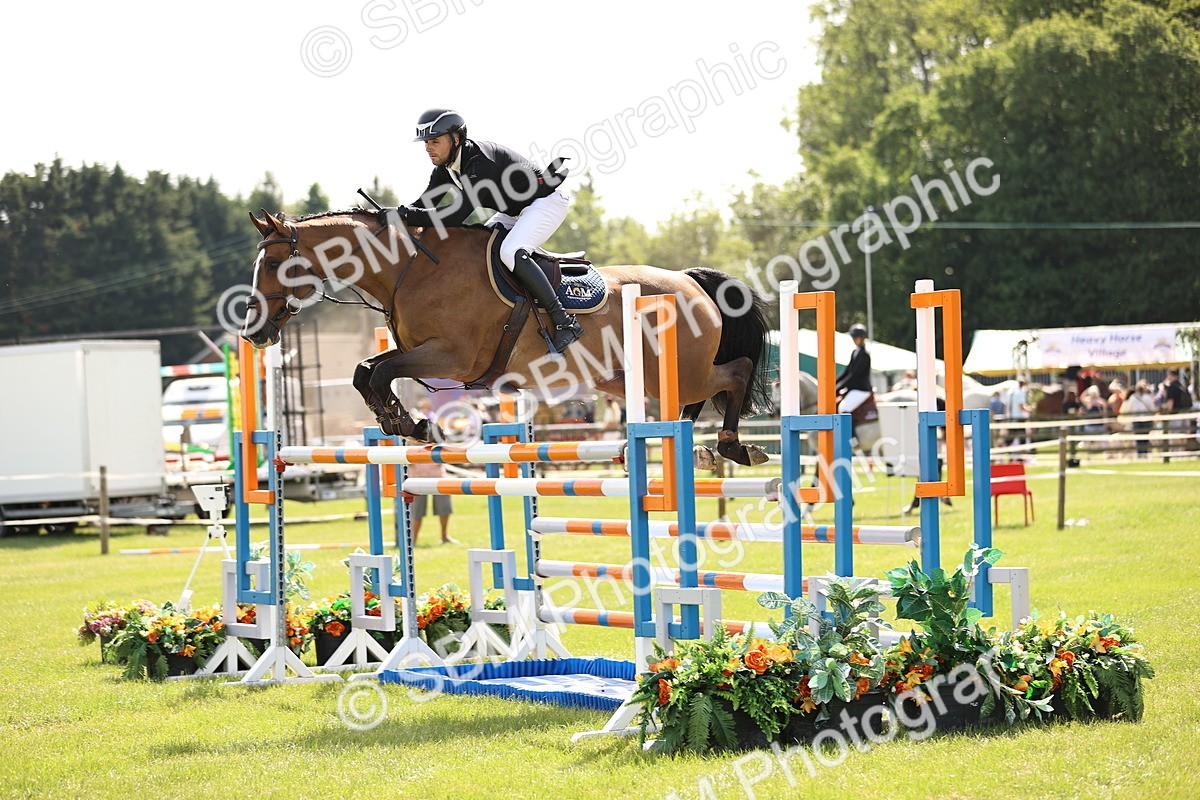 SBM_03165 - Class 201 - British Horse Feedds Speedi Beet HOYS Grade C