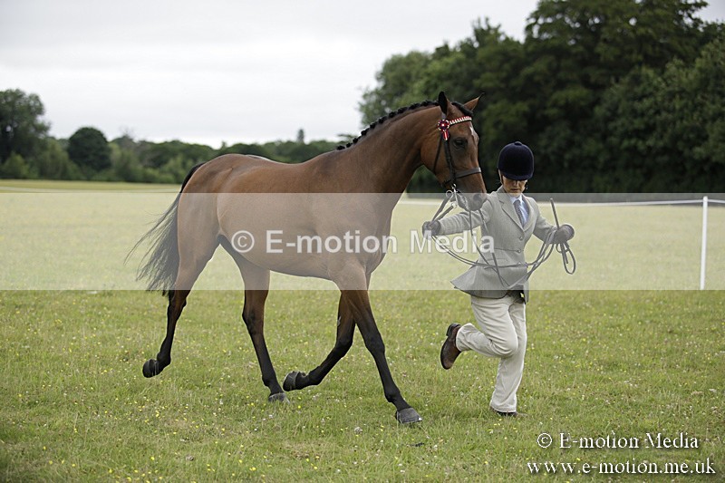 BVR160717-858 - Ring 2 BVRC Show 16/07/17