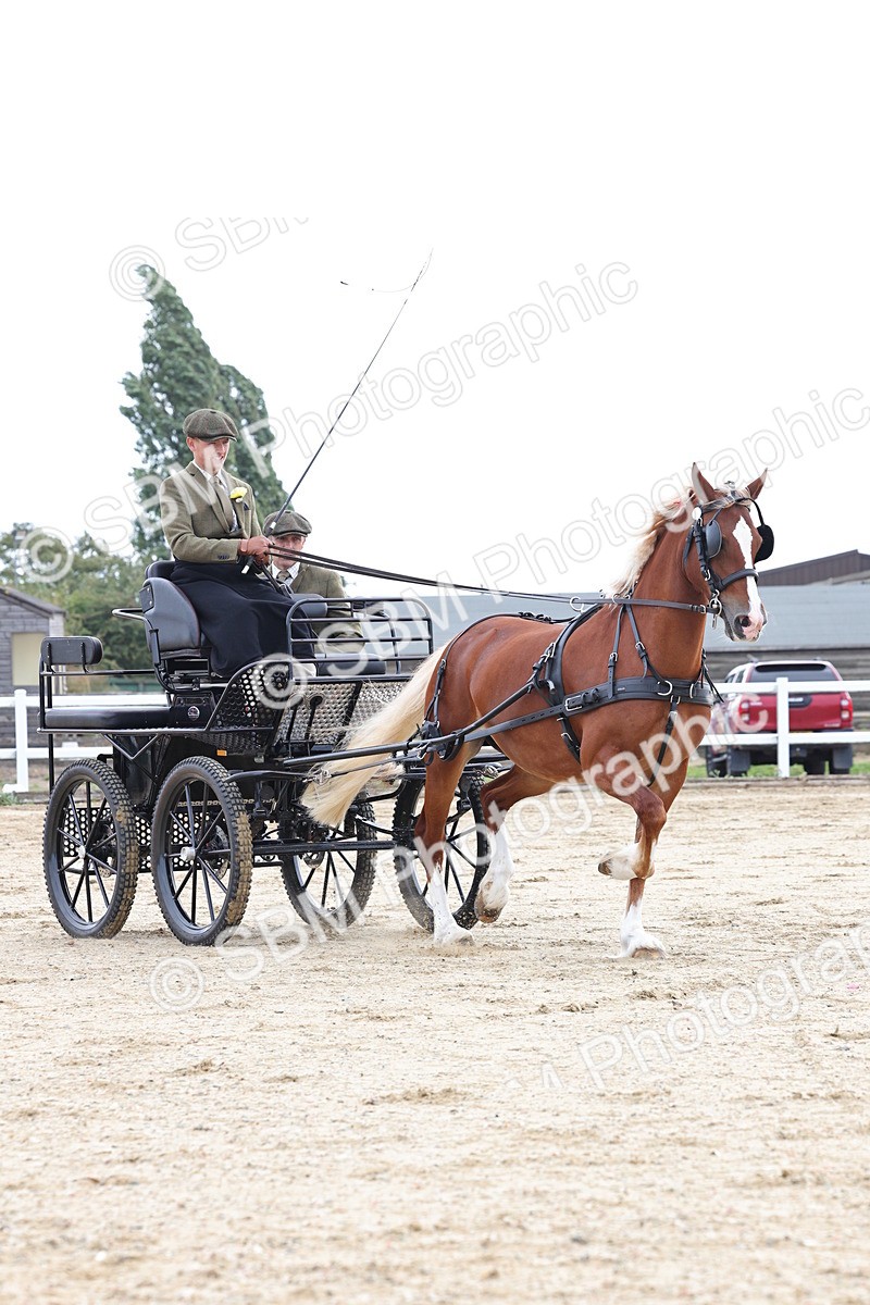 SBM_000765 - Class 6 - Exercise Vehicle 13.2 and over