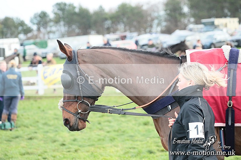 PtP 141225  2216 - New Forest Hounds PtP Larkhill 14/12/25