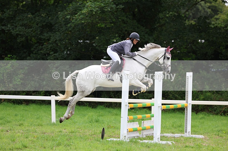 3E7A7246 - Class 5: Senior British Novice/90cm open