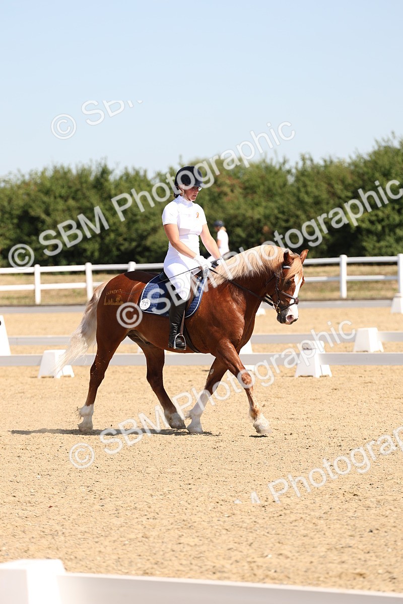 SBM_001077 - Intro 2