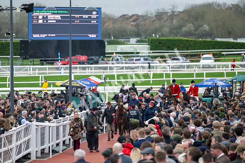 120326-Race 5-Heartwood-8329 - 12th March