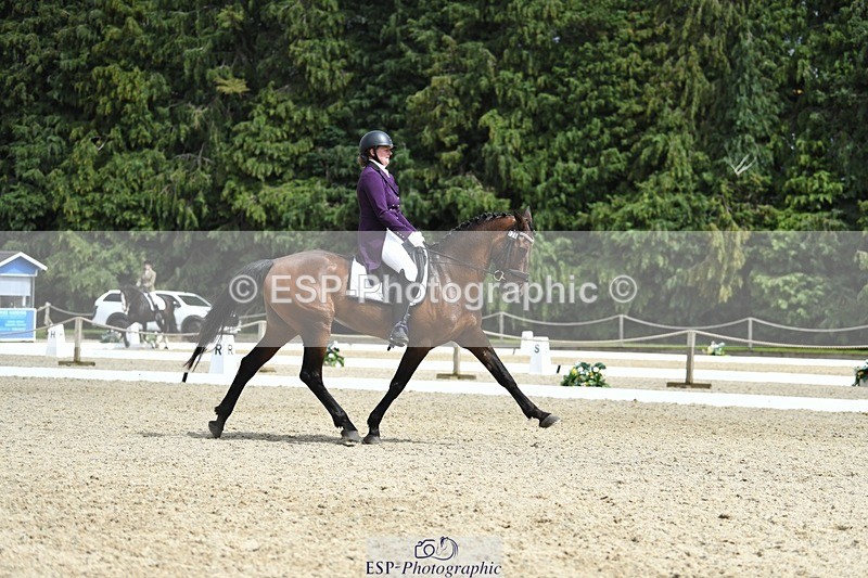 230812-134328-04489 - Cls 7 FEI PSG Bronze