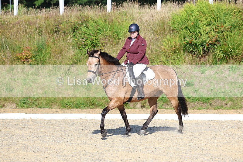 3E7A3418 - Class 2: Intro 1 2024 Section B