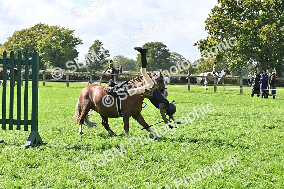 SBM_44538 - S13 - Pony Club Pony