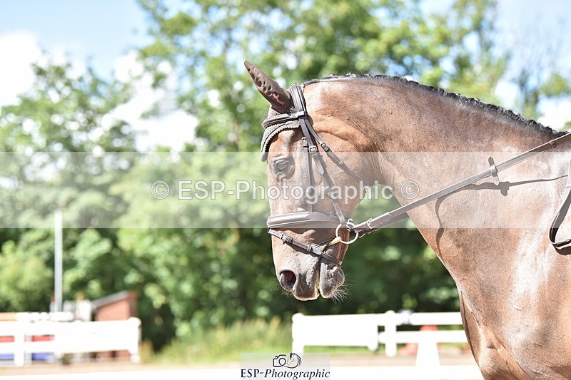 240706A-154020-03967 - Cls 4D Snr Elementary