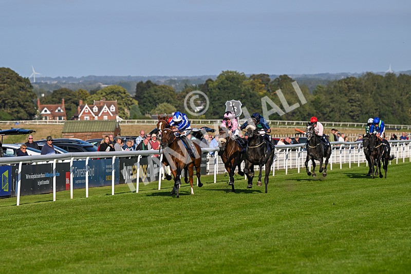 180924-Race 7-Fox Avatar-5197 - Race 7