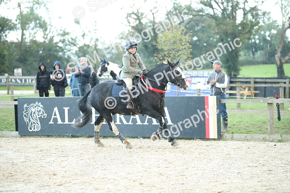 SBM_53792 - Supreme Championship 65cm 70cm