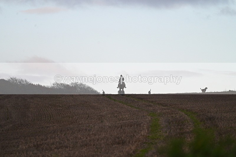 WJ7_9791 - Camera 1 & Last fence