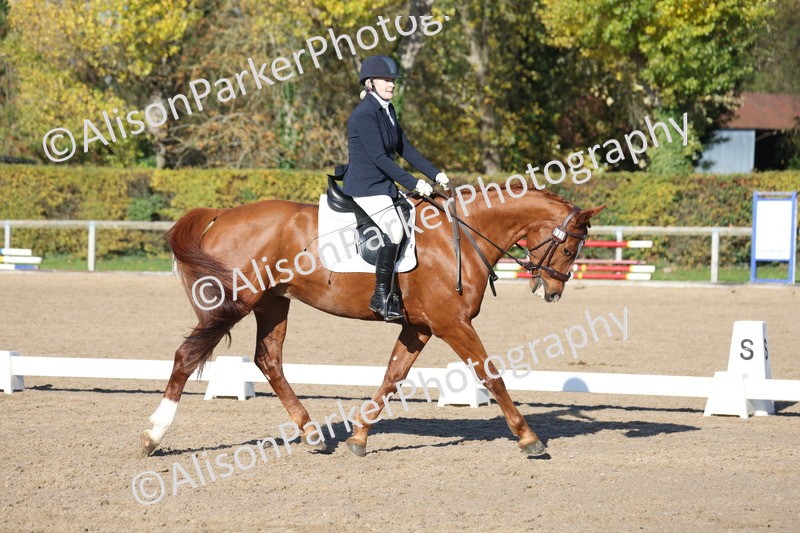 20251102-0537 - Class 3 - Novice 5