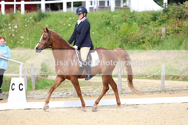 3E7A1158 - Class 1: Intro 2 2024 Section A