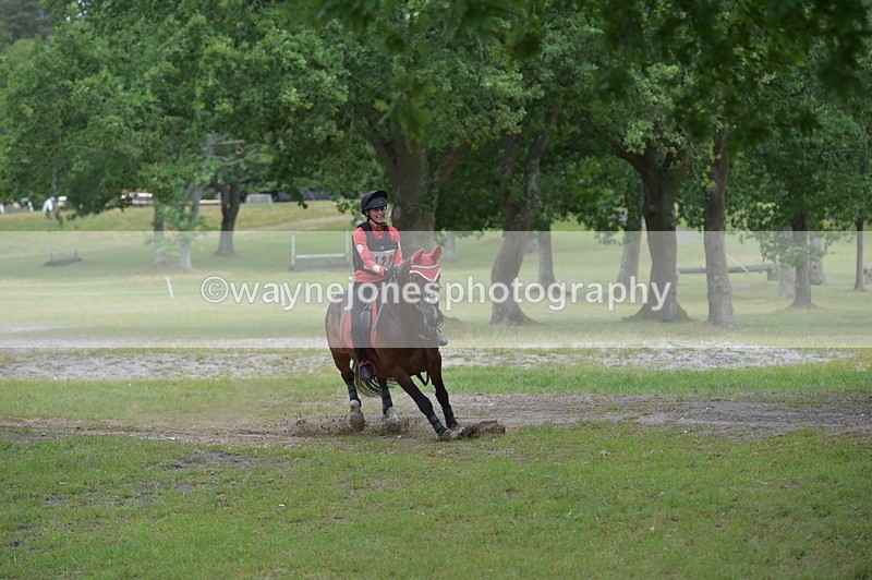 NGP_6354 - Time 10:28 to 10:48