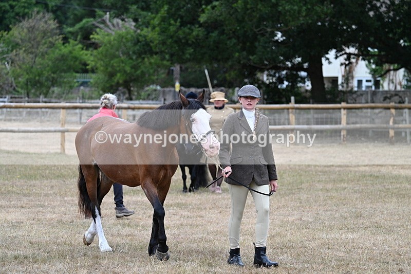 WJ7_8036 - Class 4 Prettiest Mare up to 14.2hh