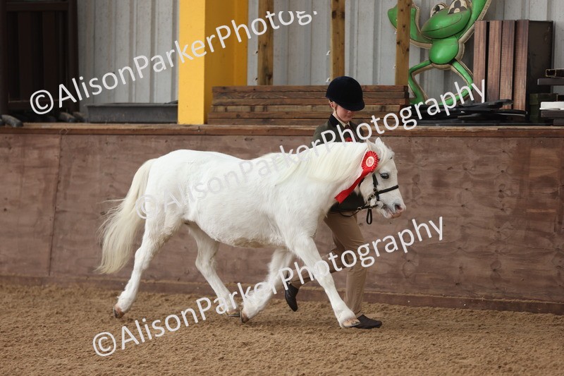 20251109-0562 - Class 21 - Mares 4 Years and over