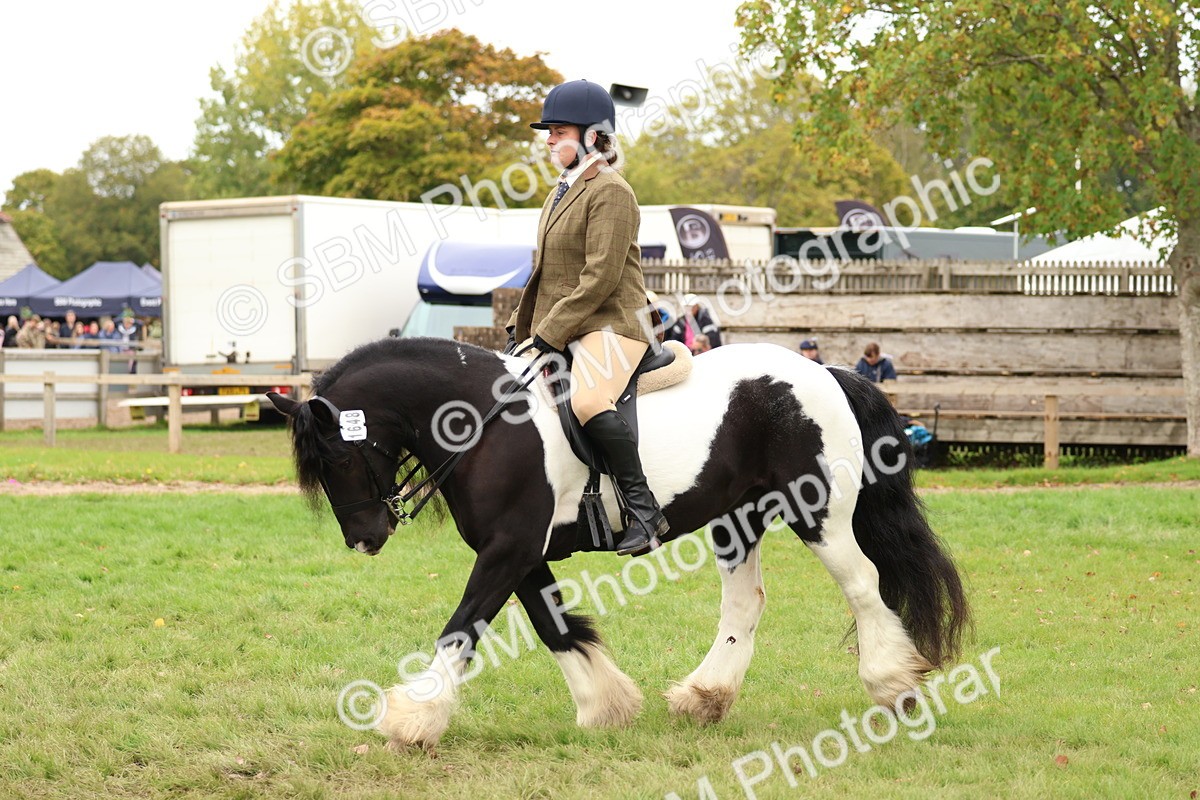 SBM_64611 - S58 - Coloured Pony Ridden