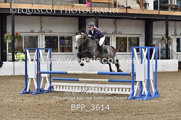 BPP_3614 - FRI CLASS 21 BR NOVICE/90CM