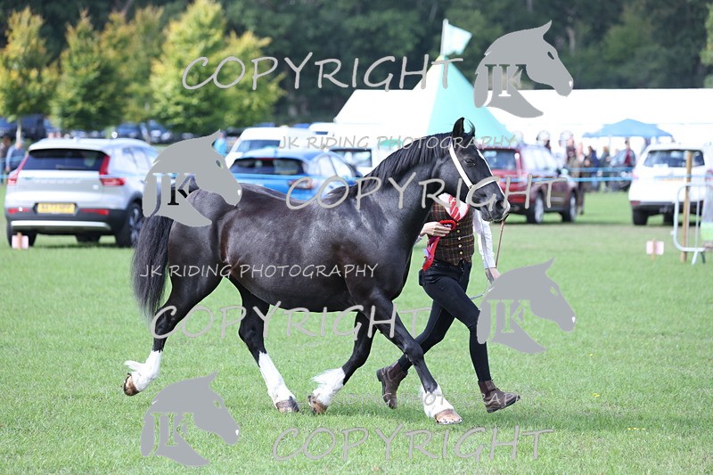 APP_3020 - Class 10a/b M&M in hand